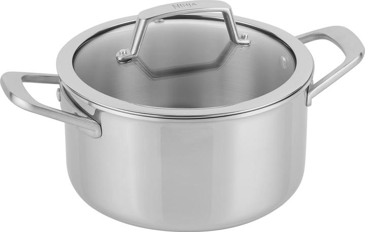 Ninja NIA Sauteuse 20cm EverCl.ES (20 cm, Cocotte + faitout, Acier inoxydable)