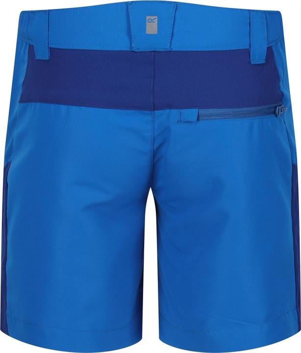 Actual product image Regatta Childrens/Kids Sorcer Mountain III Shorts (164)