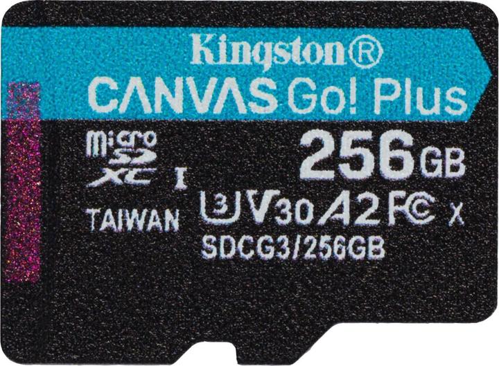 Kingston Tela Go Plus (256 GB, microSDXC, U3, UHS-I)