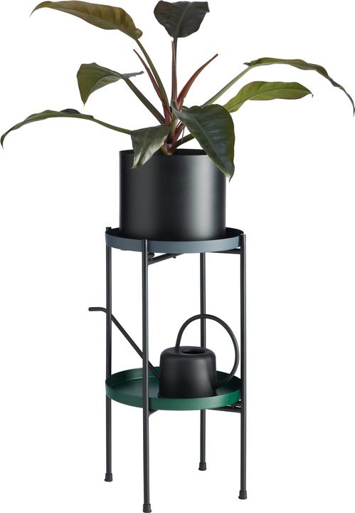 Image du produit micasa Elea