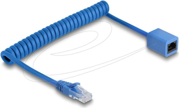 Image du produit Delock RJ45 Spiralkabel Stecker zu Buchse Cat.6 UTP 0,45 m b (U/UTP, CAT6, 0.75 m)