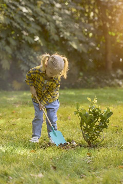 Produktbild Hape Garden Spade