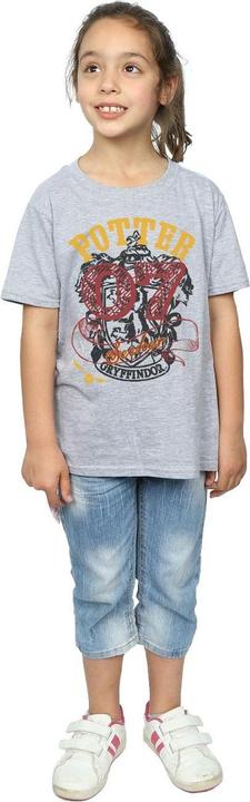 Actual product image Girls Gryffindor Seeker Cotton T-Shirt (152, 158)