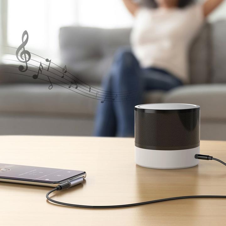 Image du produit Ugreen Fiche coudée (USB Type C, Prise de 3,5 mm)