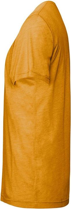 Immagine prodotto Bella Canvas Tshirt Triblend per adulti (L)