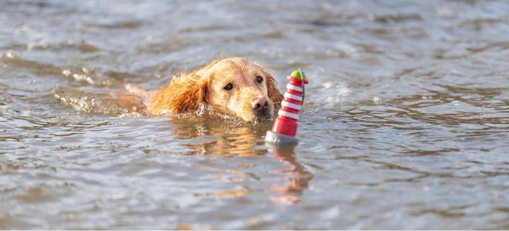 Immagine prodotto Trixie Giocattolo galleggiante Aqua Toy Lighthouse 20 cm, arancione, grigio (Gioco da masticare per cani)