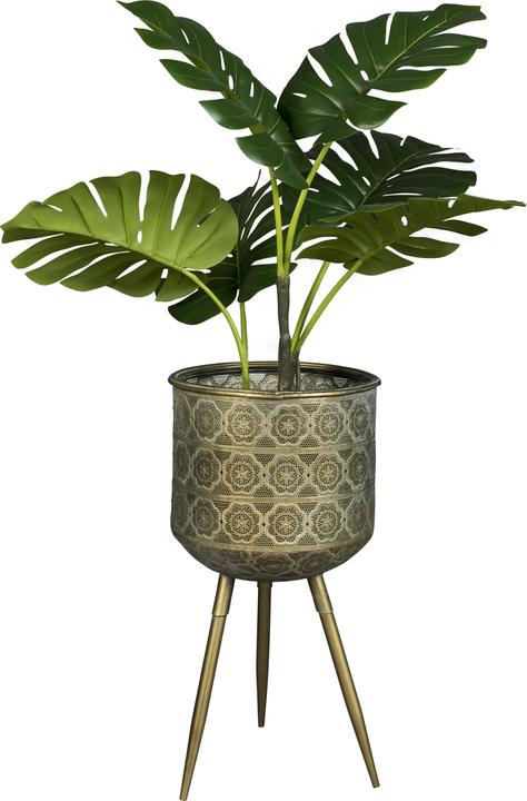 Image du produit Dutchbone Botanique (28.50 cm)