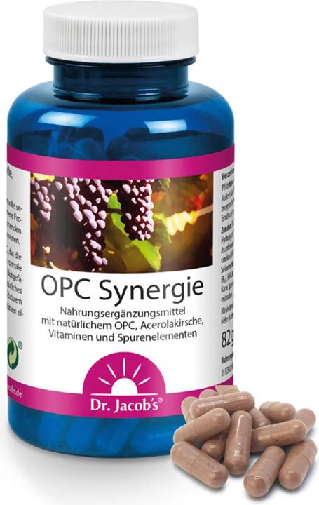 Actual product image Dr. Jacob's OPC Synergy Gélules (120 Piece, Capsules, 500 g)