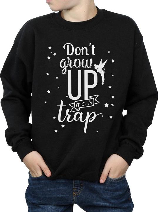 Produktbild Disney Tinker Bell Don't Grow Up Sweatshirt Jungen (128)