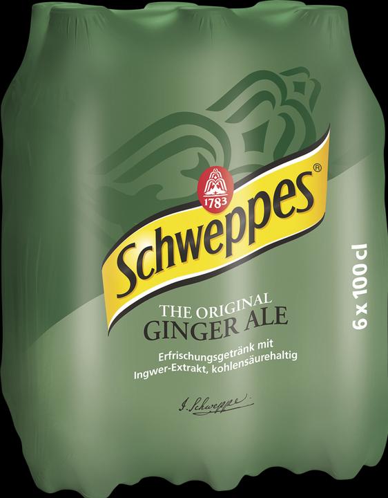 Schweppes Ginger Ale (6 x 100 cl)