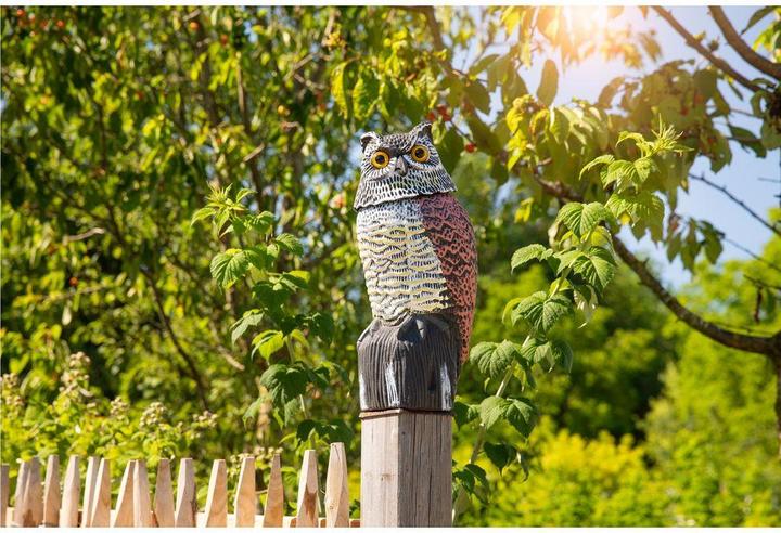 Actual product image Windhager Bird defence owl