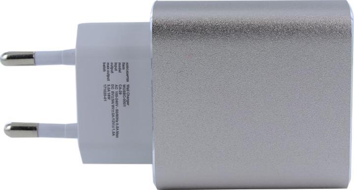 Google CA-29 (18 W)