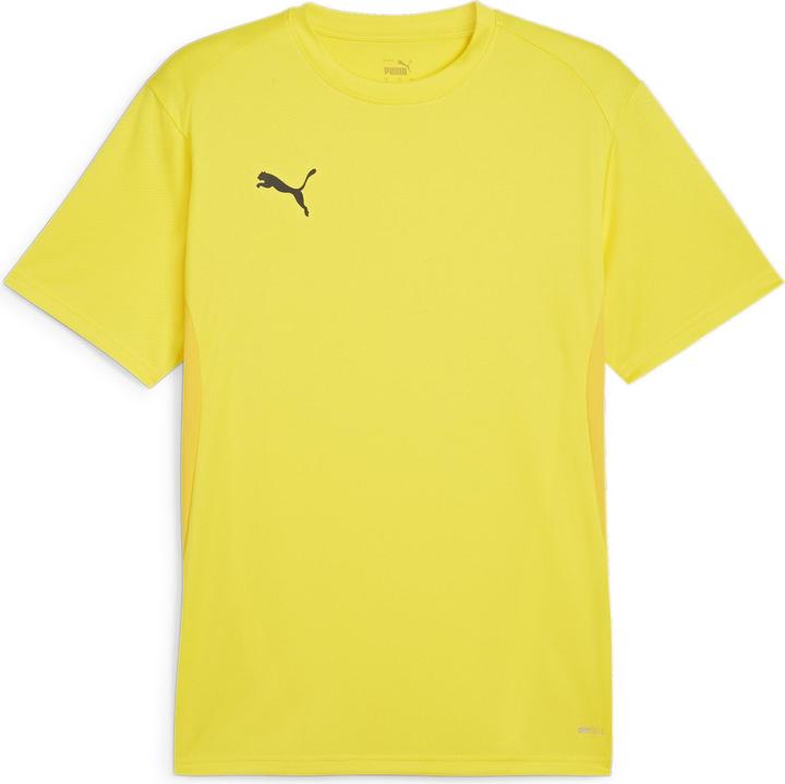 Puma teamGOAL Jersey