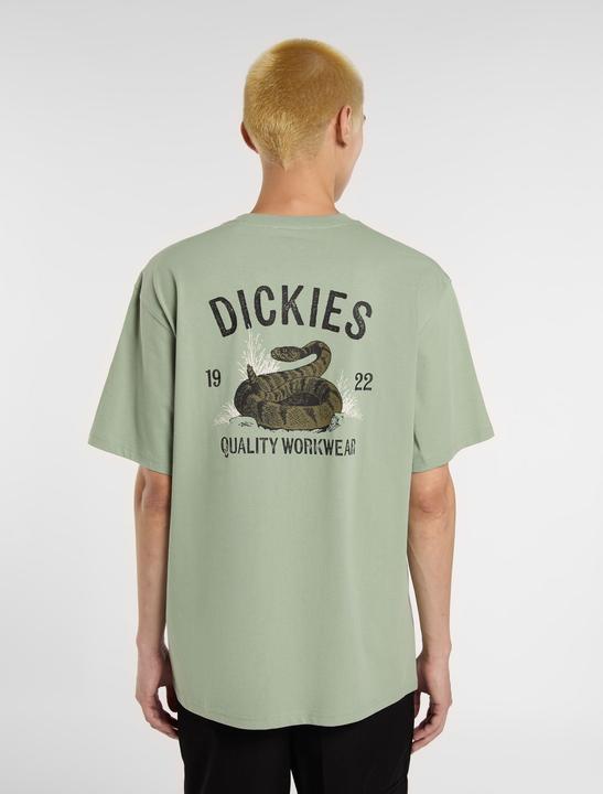 Immagine prodotto Dickies Snake Ss Tee Iceberg Green (XL)