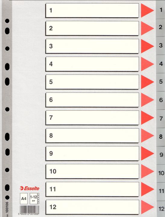 Actual product image Esselte Plastic register