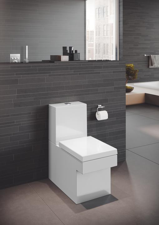 Image du produit Grohe Euphorie