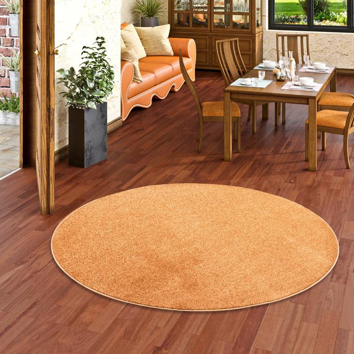 Produktbild Snapstyle Hochflor Velours Teppich Luna Rund (Ø 200 cm)