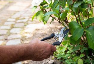 Produktbild Black & Decker Garden tool set 4pc