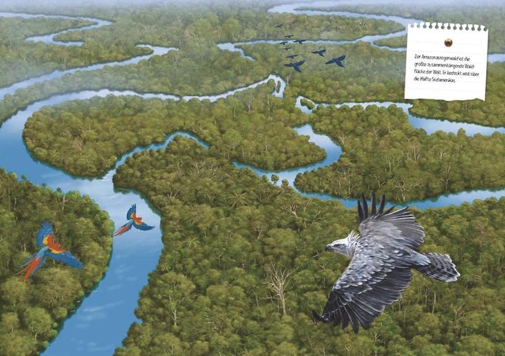 Produktbild Verborgene Welt des Regenwaldes (Deutsch, Kristina Scharmacher-Schreiber, Ferruccio Cucchiarini, 2020)