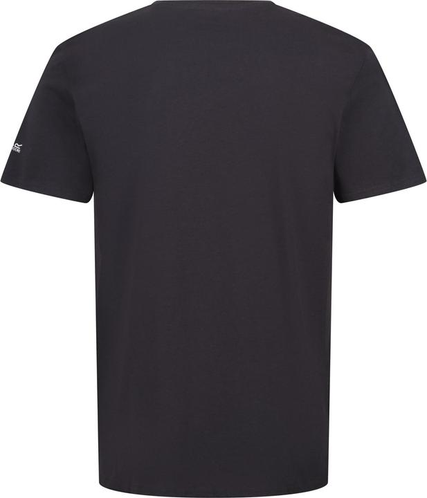 Actual product image Regatta Mens Breezed IV Rock T-Shirt (XL)