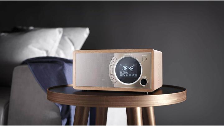 Actual product image Sharp DR-450 (FM, DAB+, Bluetooth)
