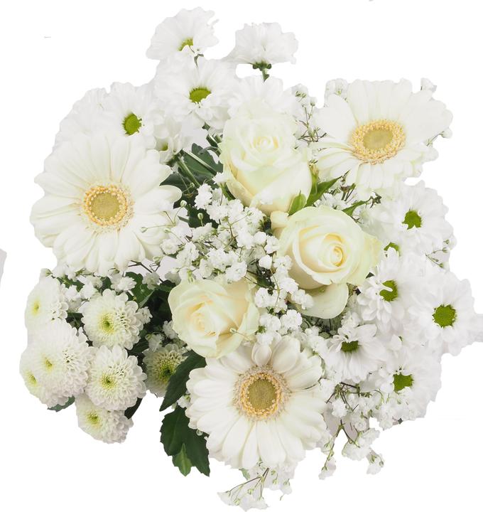 Actual product image Migros Ostschweiz bunch (Cut flowers)