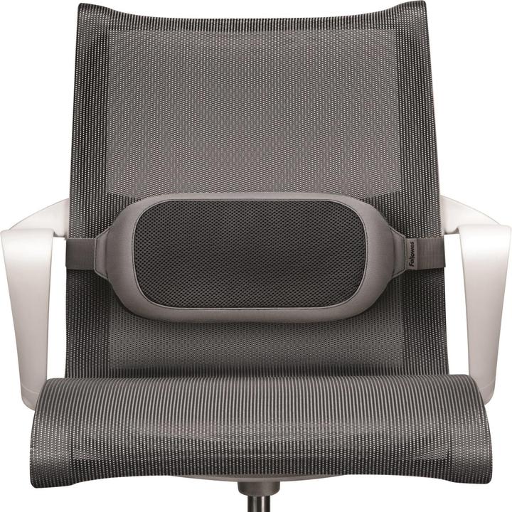 Produktbild Fellowes Lendenkissen (35 x 6 x 16 cm)