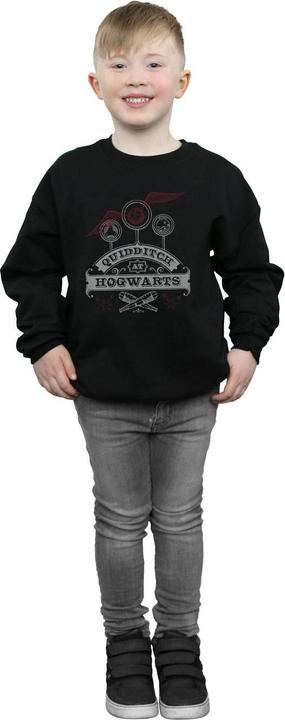Immagine prodotto Quidditch At Hogwarts Felpa Ragazzi (140, 146)