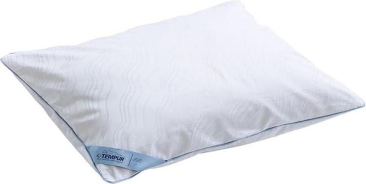Immagine prodotto Tempur Easyclean (70 x 50 cm)