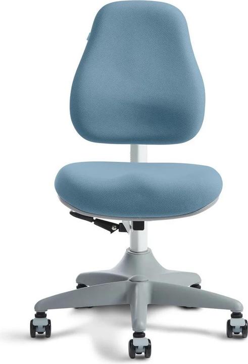 Actual product image Flexa Chair Verto Frosty
