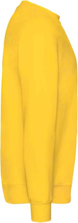 Produktbild Fruit of the Loom Pullover Premium 7030 (2 StückPackung) (122)