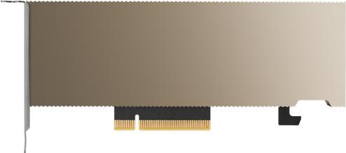 Produktbild PNY NVIDIA Module (16 GB)