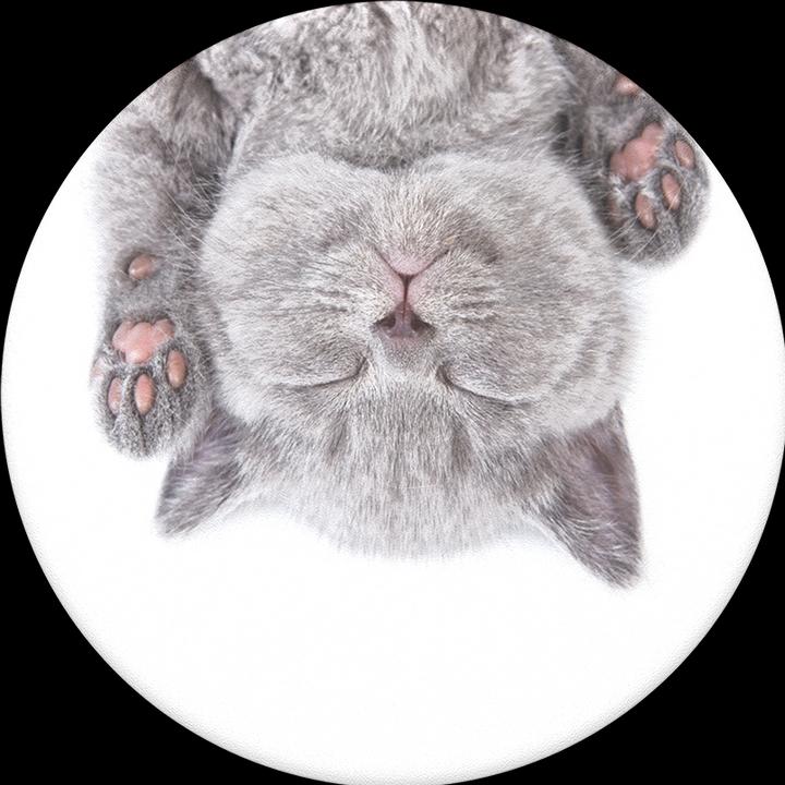 Actual product image PopSockets cat nap