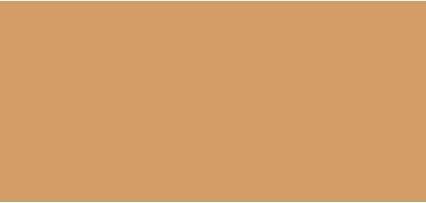 Actual product image Laura Mercier Tinted Moisturiser ( Oil Free Natura l Skin Perfector) 50 ml - Shade: 4W1 Tawny (4W1 Tawny)