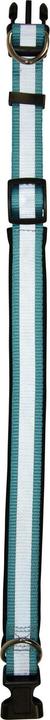 Actual product image Jackson Pet Co Reflective Dog Collar (One size, Dog, General)