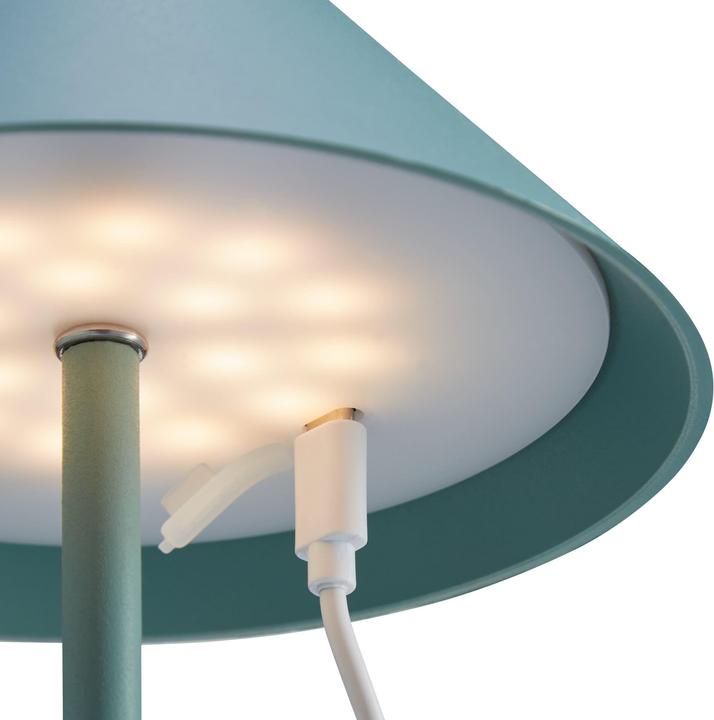 Image du produit micasa Carpi (130 lm)