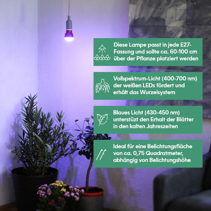 Productafbeelding Venso Kweeklamp Winter (LED, 245 V)