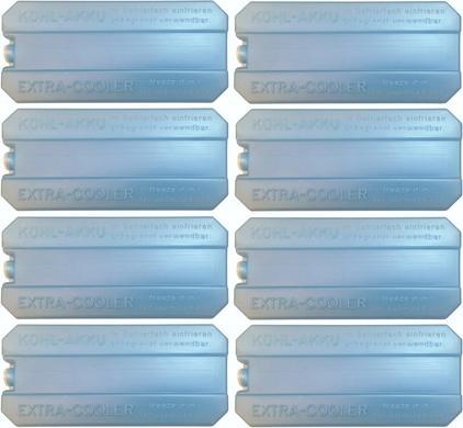 Image du produit APS Pile réfrigérante, lot de 4