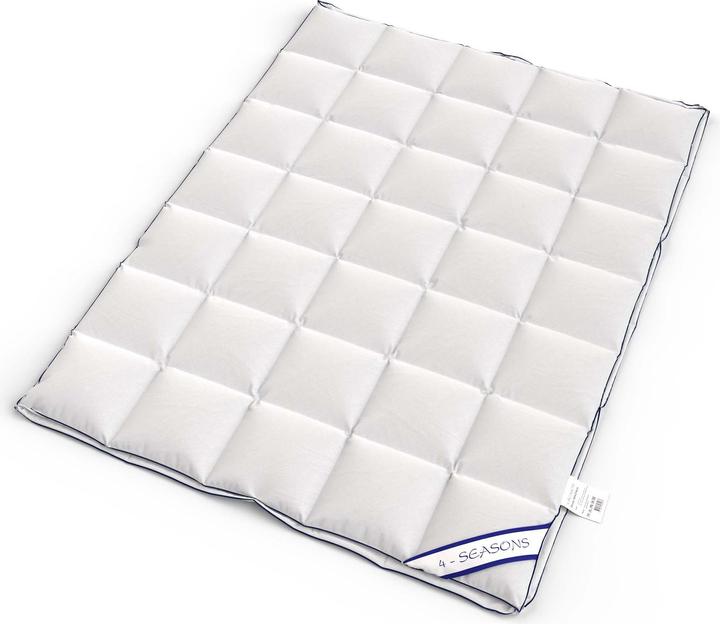 Immagine prodotto Capistrano Piumino (1850 g, 240 x 240 cm)