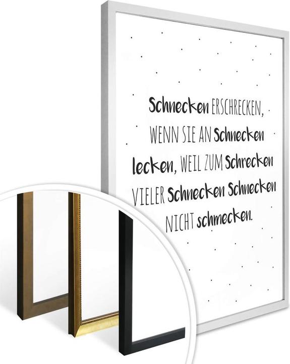 Immagine prodotto Trenddeko Scioglilingua - spaventare le lumache (24 x 30 cm)