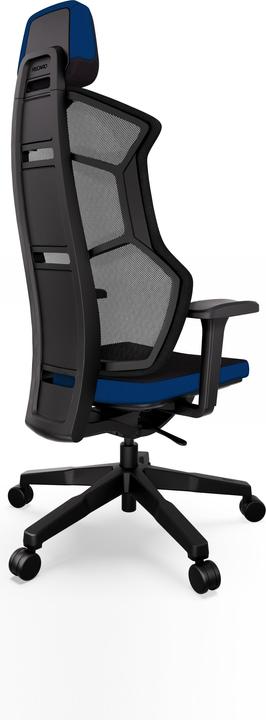Actual product image RECARO Aer