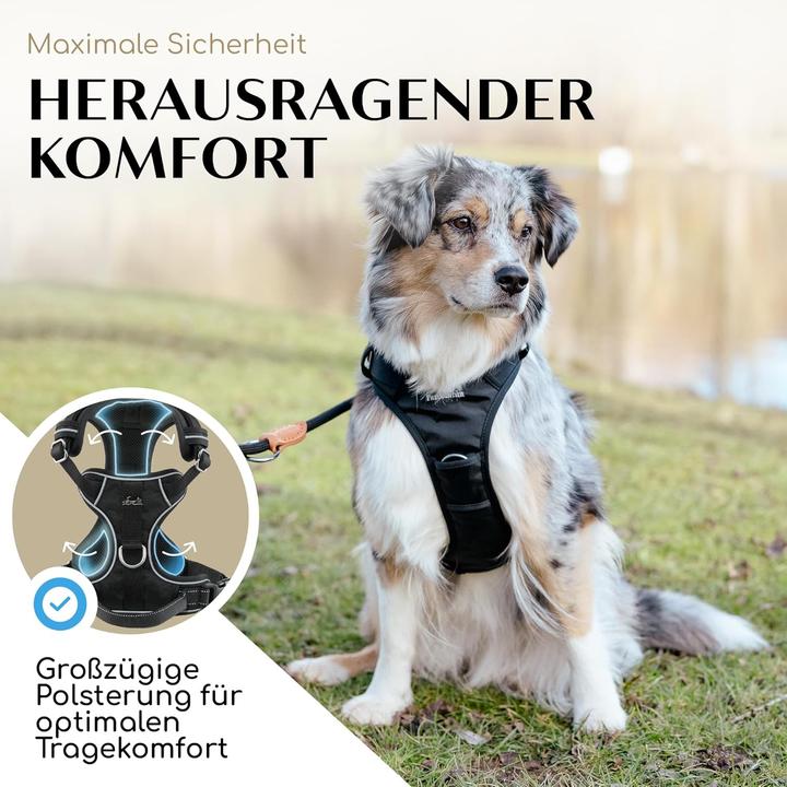 Image du produit Freudentier Harnais pour chien (M, Chien, Général, Promenade, Jogging, Sport canin)