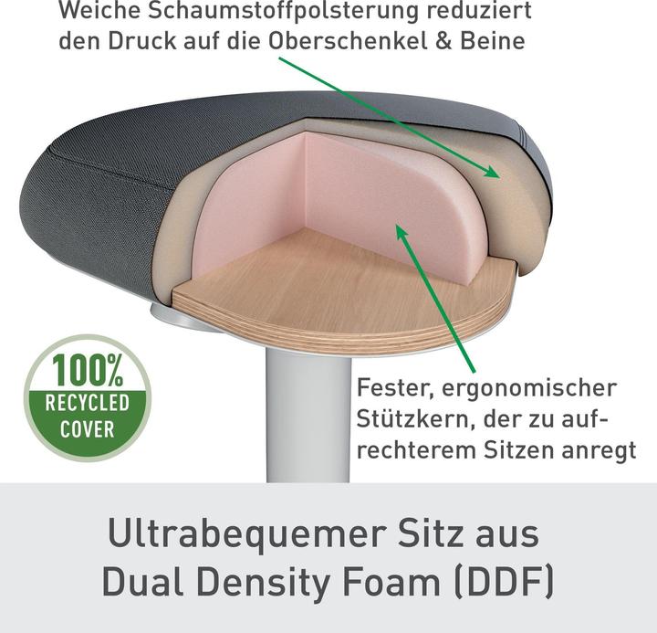 Actual product image Leitz Ergo Active