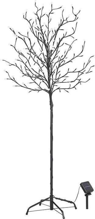 Actual product image Lunartec Set of 2 XL Solar LED Light Trees (IP44)
