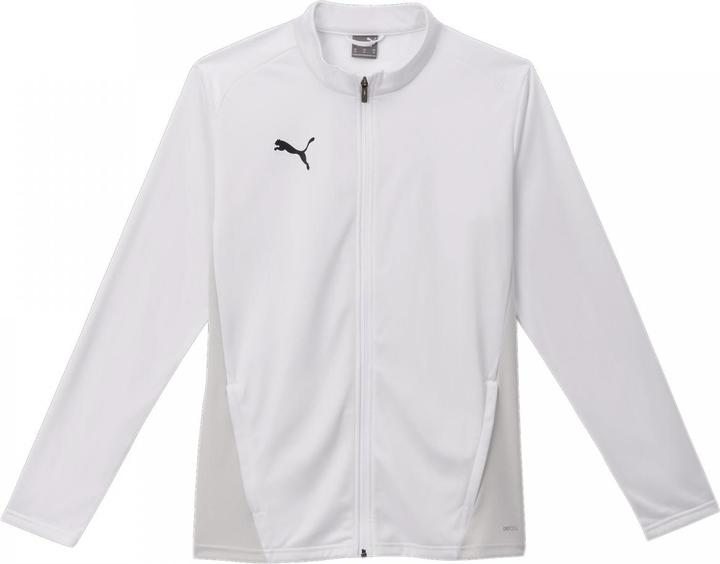 Actual product image Puma teamGOAL Training Jacket (3XL)