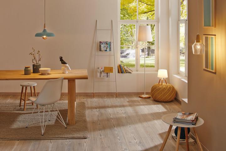 Actual product image Paulmann Neordic Juna (E14)