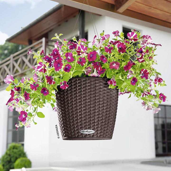 Actual product image Lechuza Nido Cottage (27 cm)