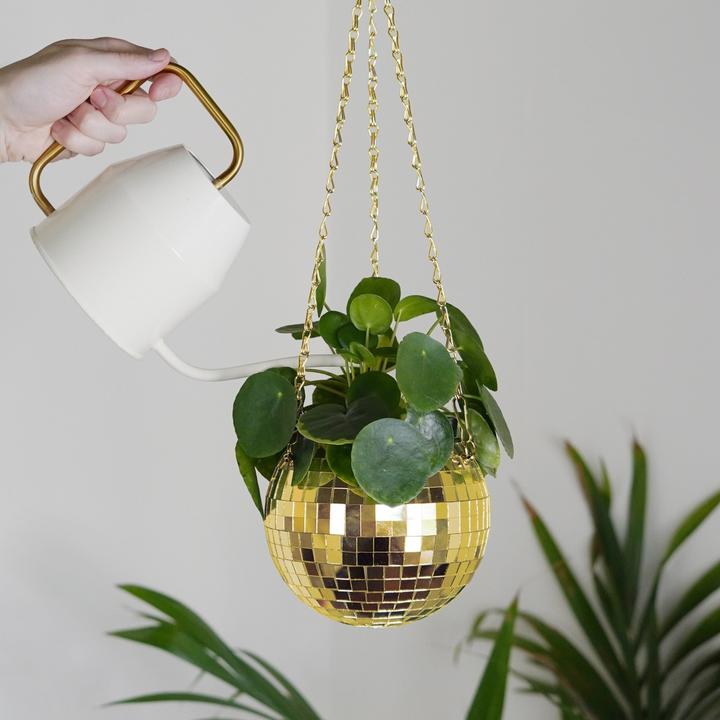 Image du produit Bubblegum Discokugel Pflanzentopf zum aufhängen Gold