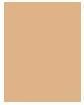 Actual product image Sensai Cellular Performance Cream Foundation (CF22 NATURAL BEIGE)