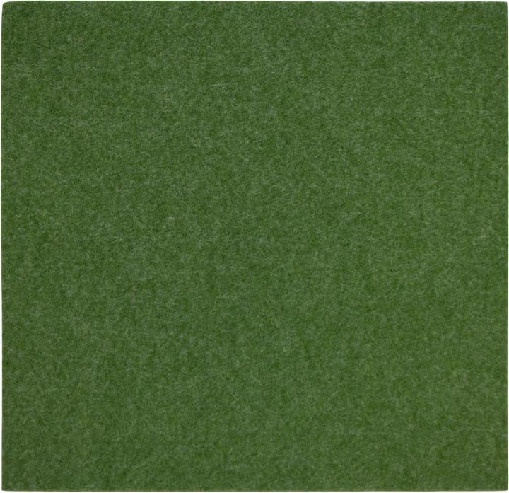 Seagrass